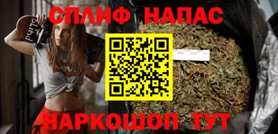 сатива Майкоп