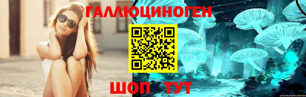 Галлюциногенные грибы Psilocybe  Вход с VPN  Киров 