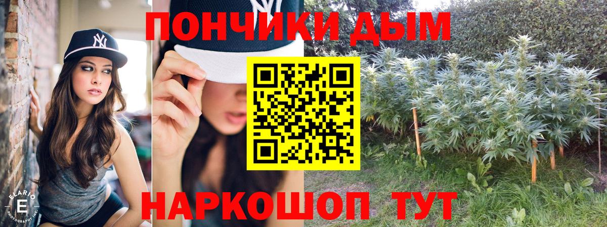 Канабис планчик Киров